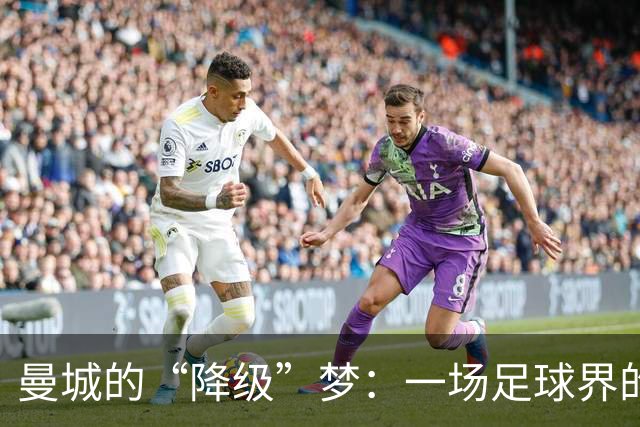 曼城的“降级”梦：一场足球界的“惊天黑幕